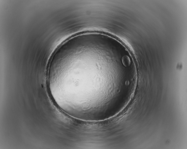 X0000090460895200707201332