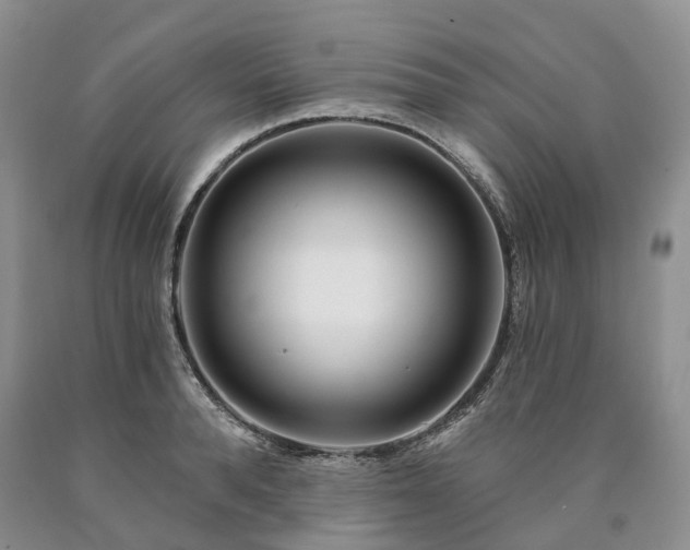 X0000090460896200707201332