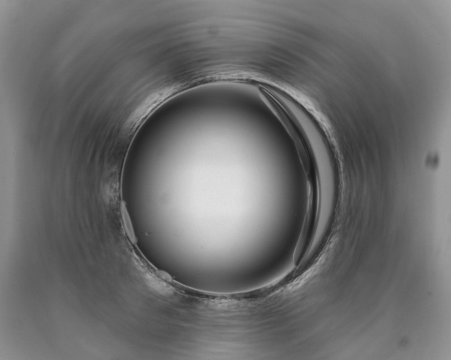 X0000090460897200707201332