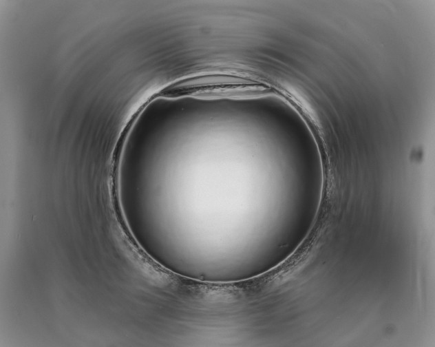 X0000090460899200707201332