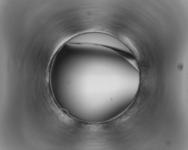 X0000090460900200707201332