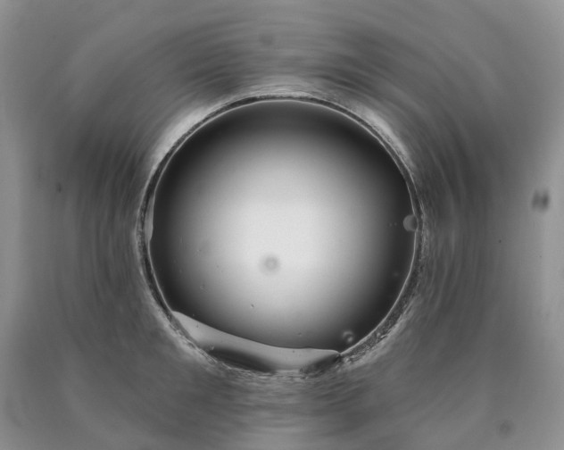 X0000090460901200707201332