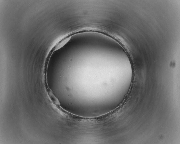 X0000090460902200707201332