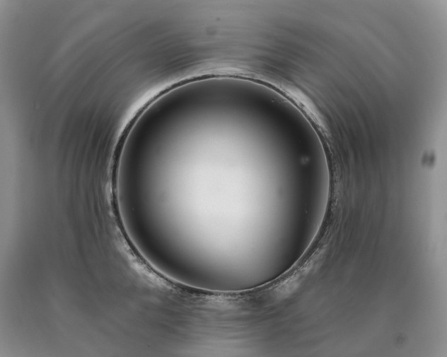 X0000090460904200707201332