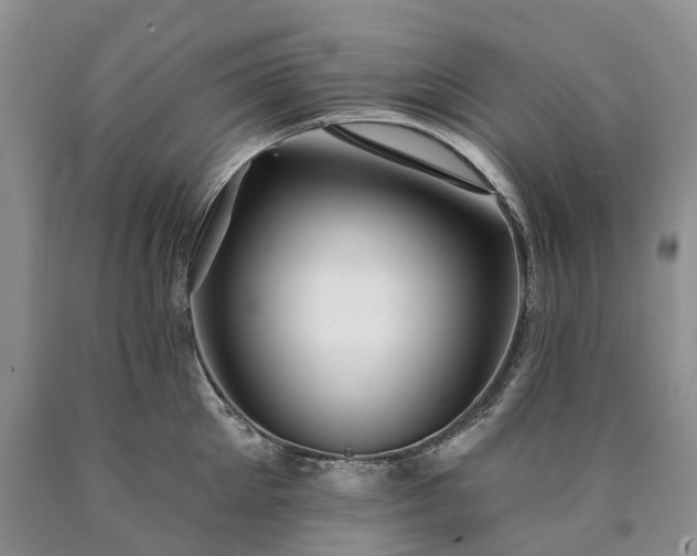 X0000090460905200707201331