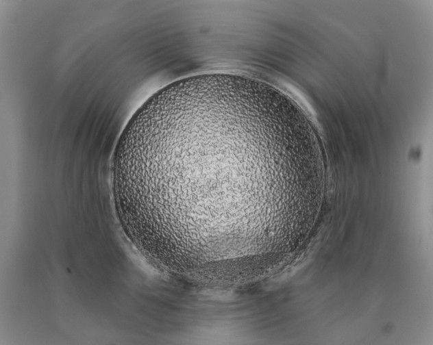 X0000090460907200707201331