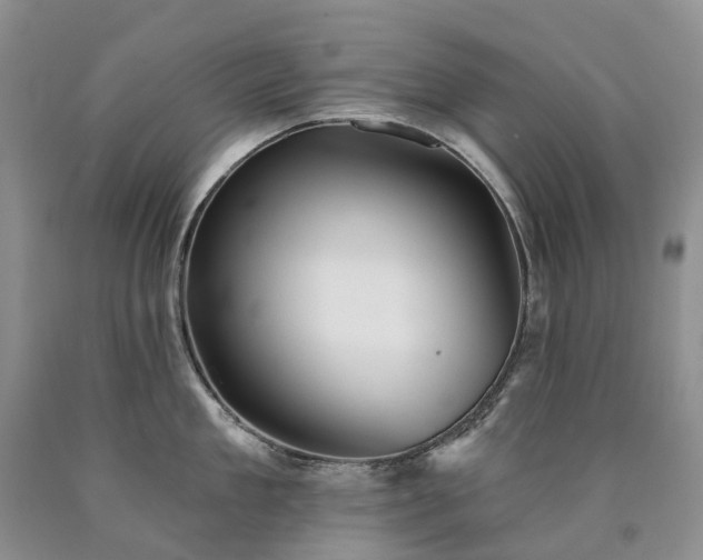 X0000090460909200707201331