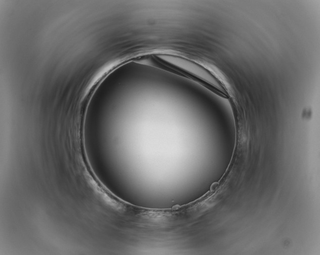 X0000090460910200707201331