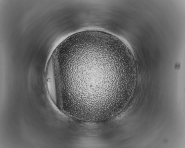X0000090460911200707201331