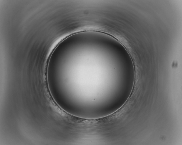 X0000090460912200707201331