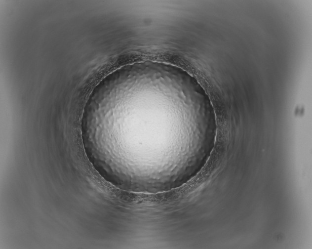 X0000090460913200707201331