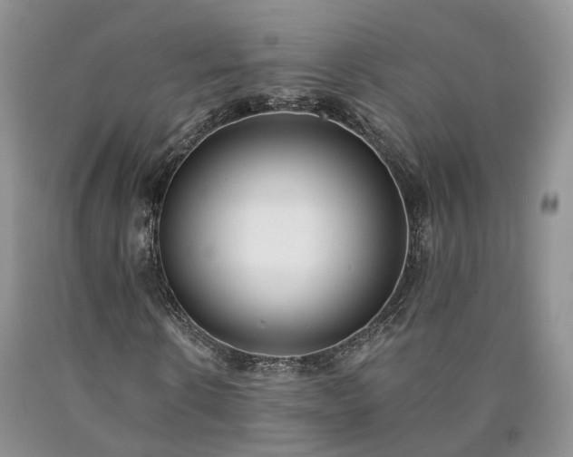 X0000090460914200707201331