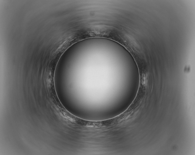 X0000090460915200707201331