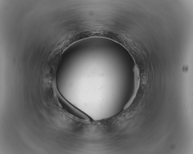 X0000090460916200707201331