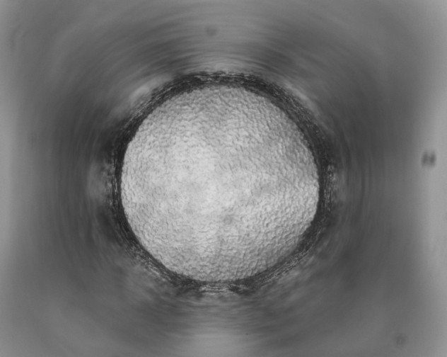 X0000090460918200707201331