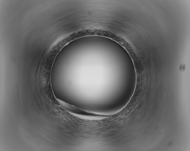 X0000090460919200707201331