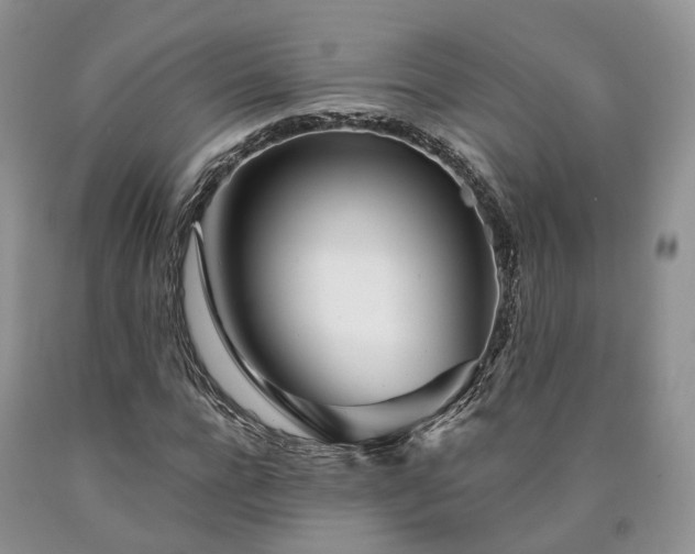 X0000090460920200707201331