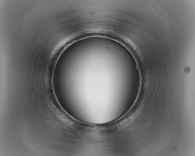 X0000090460922200707201331