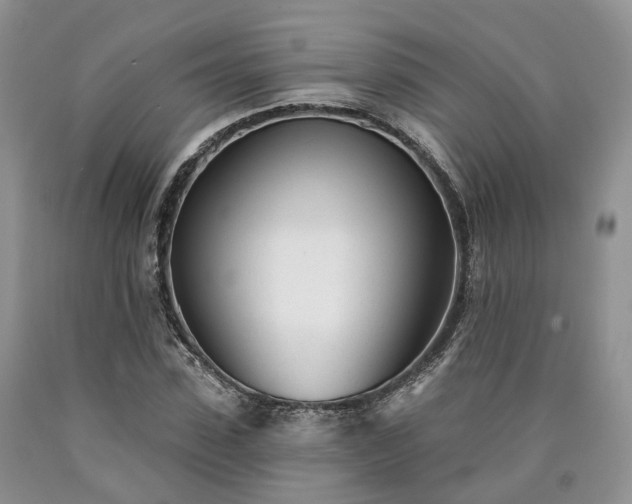 X0000090460923200707201331