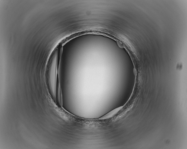 X0000090460924200707201331