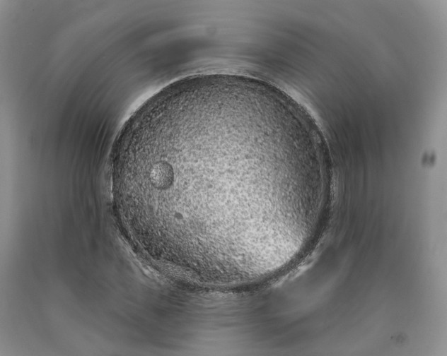 X0000090460925200707201331