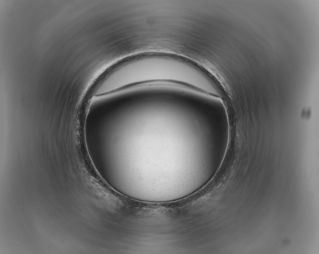 X0000090460926200707201331