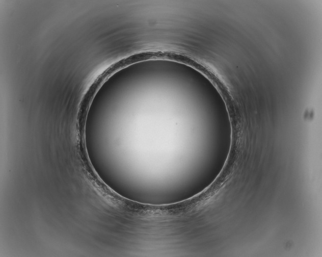 X0000090460927200707201331