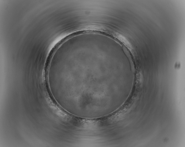 X0000090460928200707201331