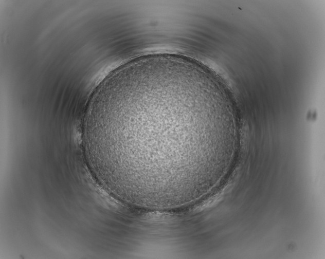 X0000090460929200707201331