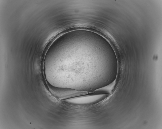 X0000090460930200707201331