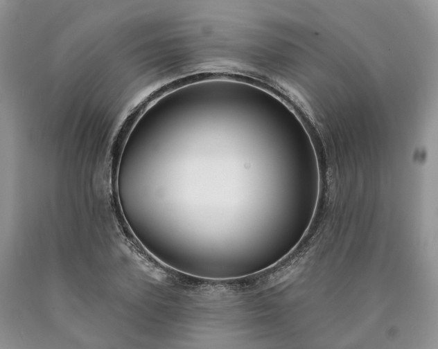 X0000090460931200707201331
