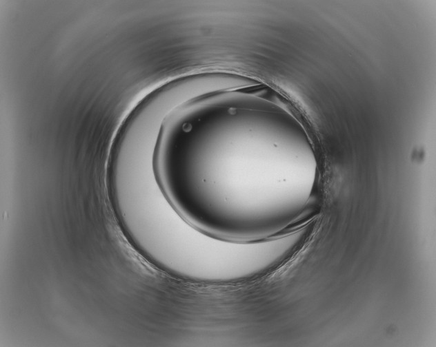 X0000090460932200707201331