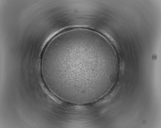 X0000090460933200707201331