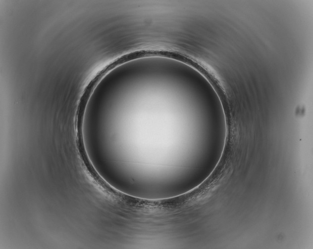 X0000090460935200707201331