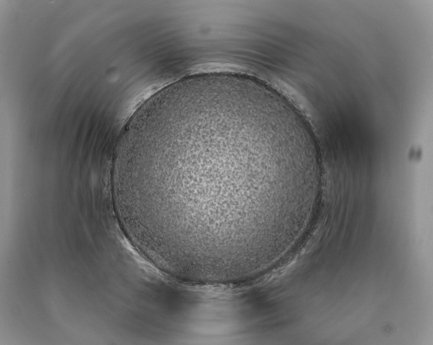 X0000090460937200707201331