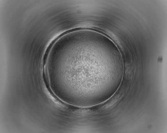 X0000090460939200707201331