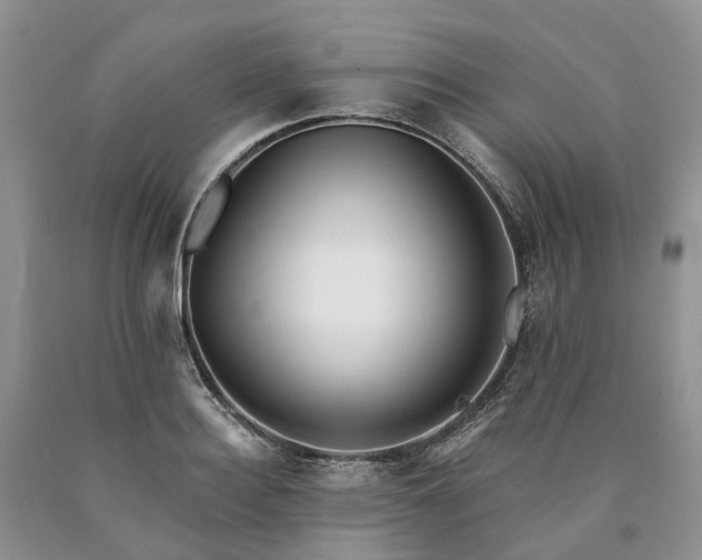 X0000090460940200707201331
