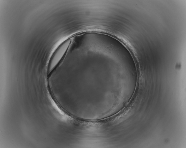 X0000090460941200707201331