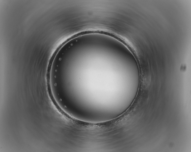 X0000090460943200707201331