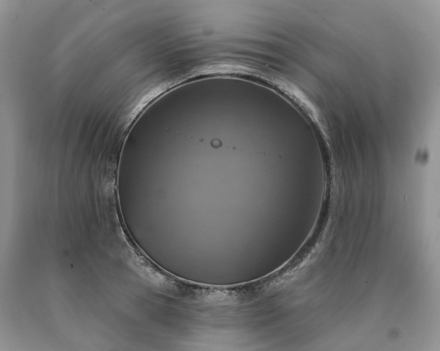 X0000090460945200707201331