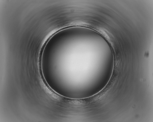 X0000090460947200707201331