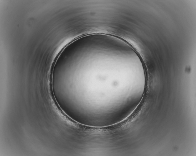 X0000090460949200707201331