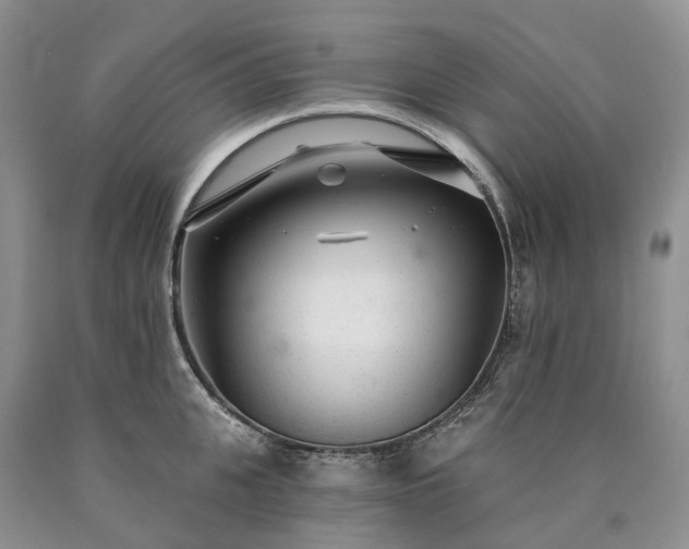 X0000090460951200707201331