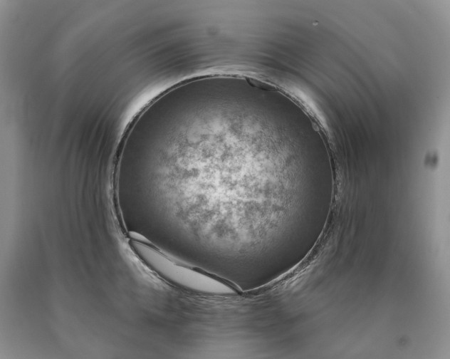 X0000090460952200707201331