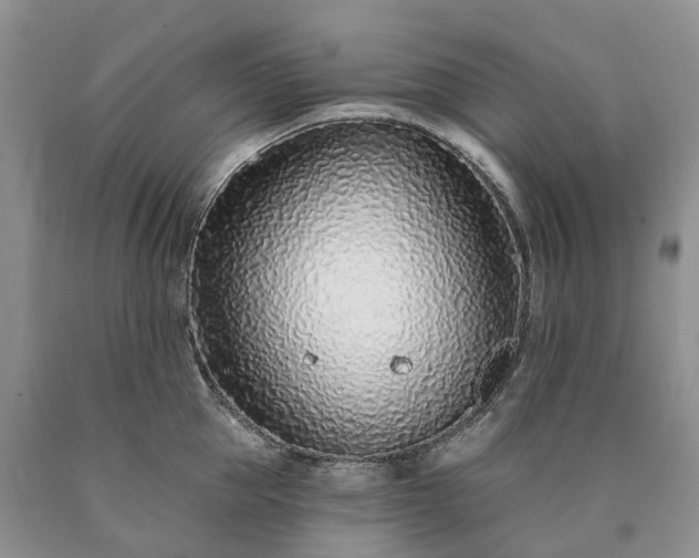 X0000090460953200707201331