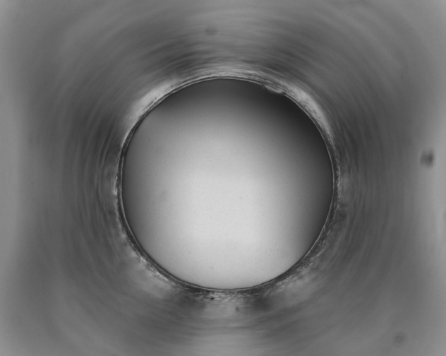 X0000090460954200707201331