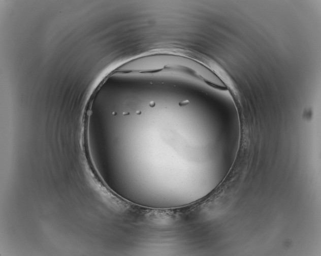 X0000090460955200707201331