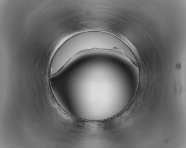 X0000090460956200707201331