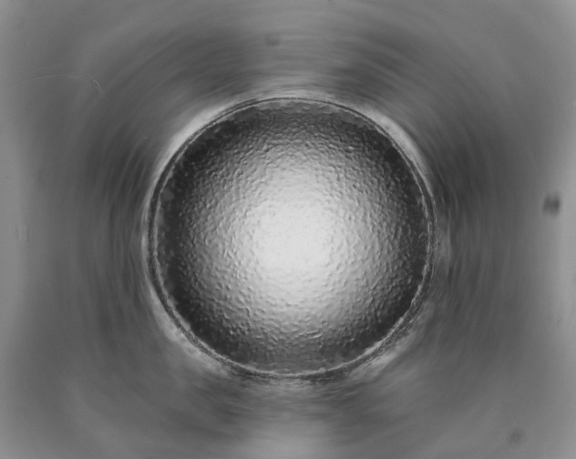 X0000090460957200707201331