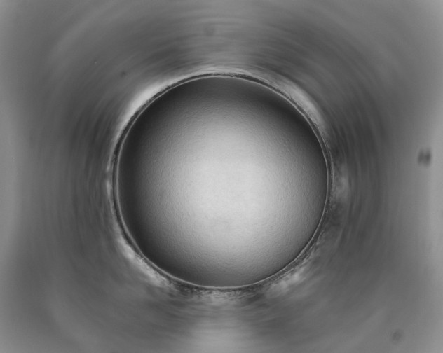X0000090460958200707201331